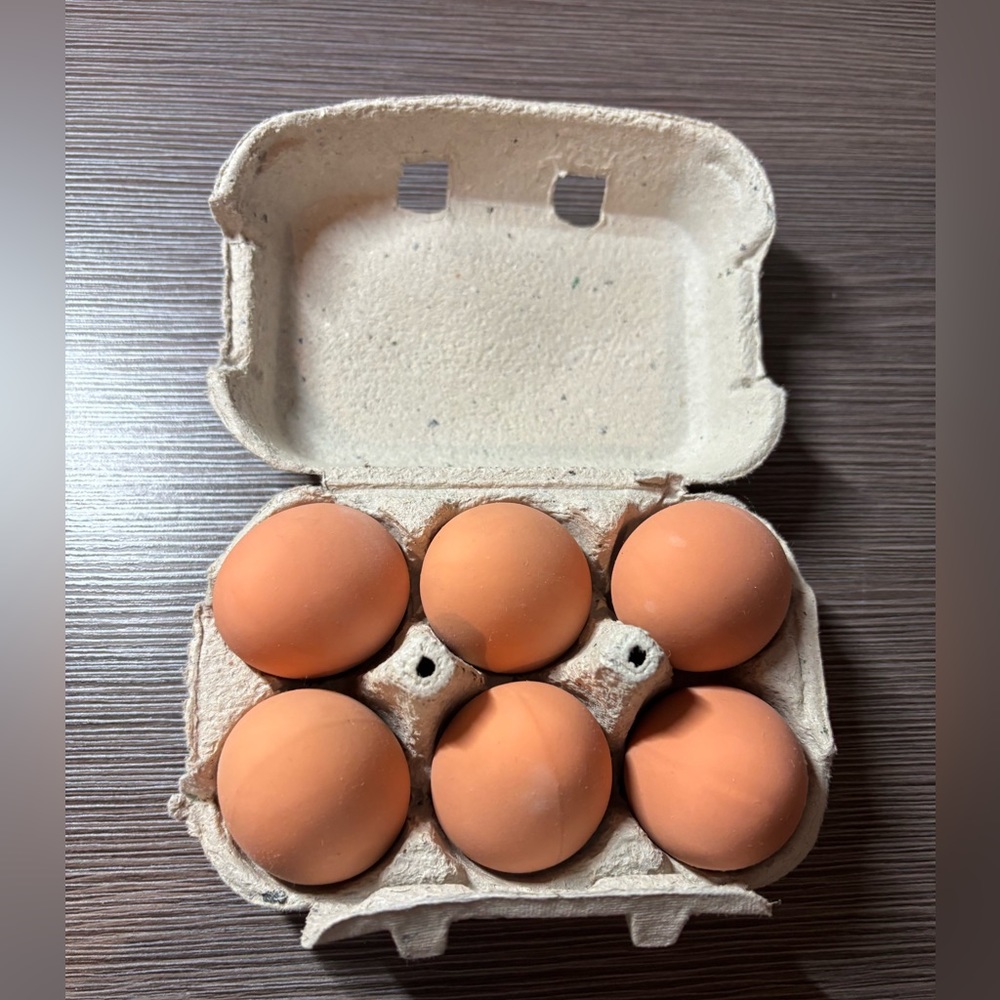 Carton of 6 RUBBER brown eggs!